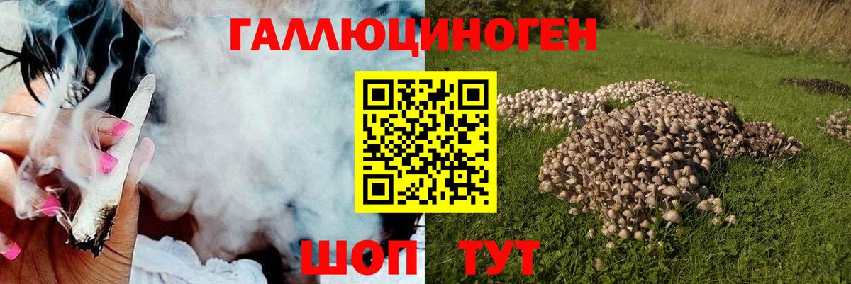 Галлюциногенные грибы GOLDEN TEACHER Дагестанские Огни